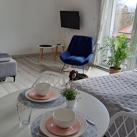 Apartamenty Bujaki Ustron Kültér fotó