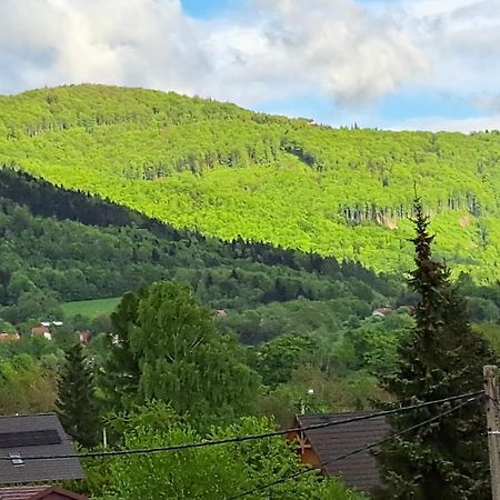 Apartamenty Bujaki Ustron Kültér fotó