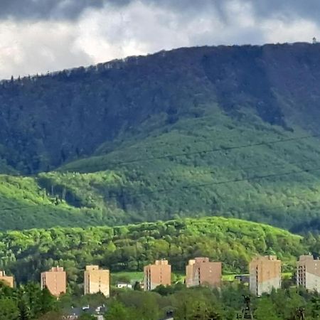 Apartamenty Bujaki Ustron Kültér fotó